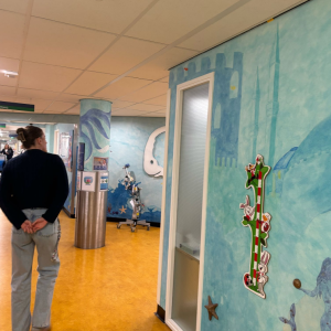 Foto van muurschilderingen op de pedagogische afdeling 1 - Sophia kinderziekenhuis